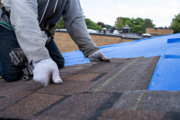 Best Green or Eco-Friendly Roofing Solutions  in Mattoon, IL